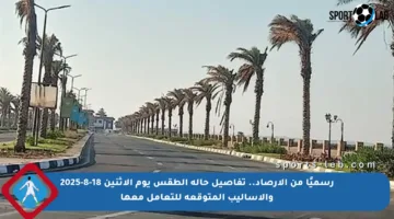 رسميًا من الأرصاد.. تفاصيل حالة الطقس يوم الإثنين 18-8-2025 والأساليب المتوقعة للتعامل معها